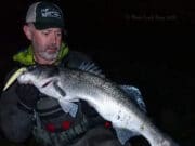bass