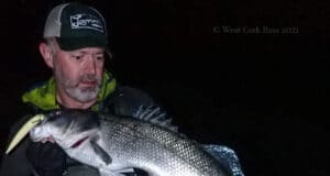 bass