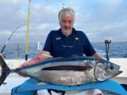 Big albacore off the Continental Shelf for Cork anglers albacore 26lb