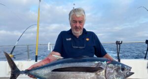 albacore 26lb