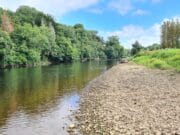 Better reports from Blackwater as grilse run builds Munster Blackwater upstream of Fermoy