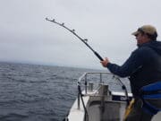 Great day on Kiwi Girl for dappers and dry fly anglers tuna on standup gear