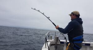 tuna on standup gear