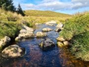 Irish Angling Update – 24 September 2021