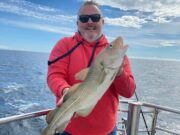 Another Cod