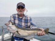 Wreck fishing ‘on fire’ for Wicklow Boats