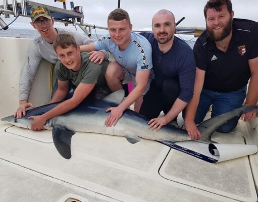 Testing the waters for blue shark at Courtmacsherry Shark!