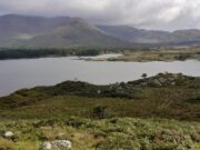 Good salmon catches on Inny at end of season, trout fishing on Currane for another week Copal - Lough Currane