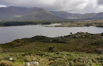 A few juniors and trout on Currane, some salmon on Inny after flood Copal - Lough Currane