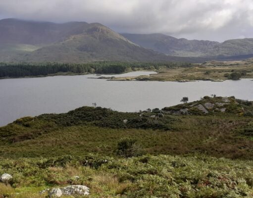 Copal - Lough Currane