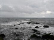 Bass fishing tough on Louth coastline and elsewhere