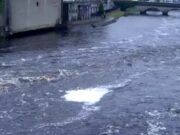 Another rather quiet week on the Moy