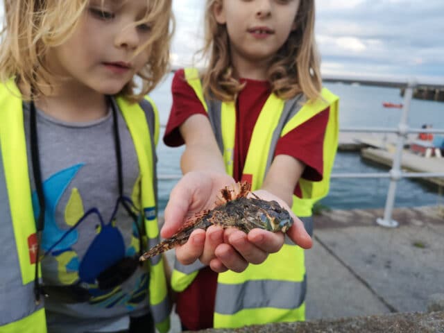 sea scorpion