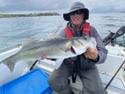 Trout and salmon seasons are closing, don’t despair, head to the coast