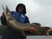 pike