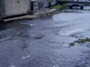 Quiet week on the Moy