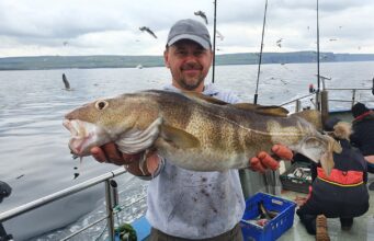 Big cod, sharks, and a lot more in Galway Bay