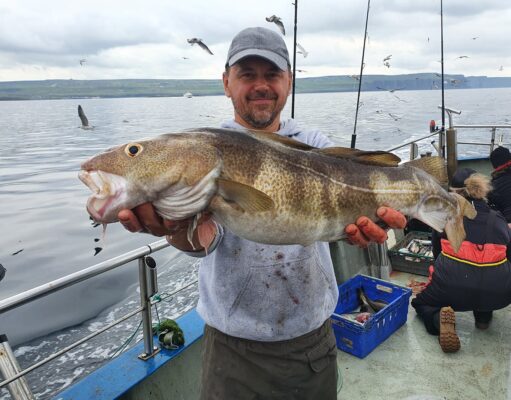 Big cod, sharks, and a lot more in Galway Bay