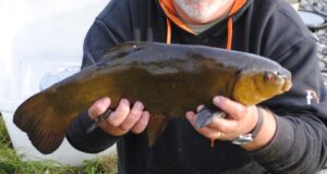 Neil is all smiles with his Tench