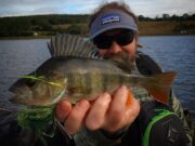 Perch a perfect substitute for L’Ile Verte in Cavan