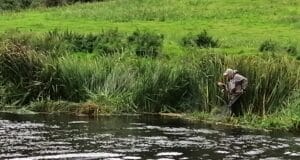 Salmon fishing on Ireland's River Boyne