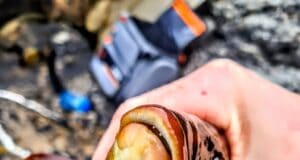 Wrasse in difficult conditions, specimen spurs and Northern Lights for Killybegs Mariners