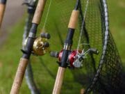 Inland Fisheries Ireland seeks views on ways to improve Wild Salmon and Sea Trout Tagging Scheme