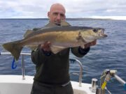 Better weather brings great pollack fishing in Galway Bay