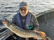 Pike in fine condition on L. Derg