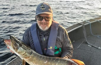 Pike in fine condition on L. Derg