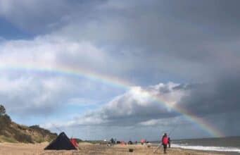 Irish Winter Shore Festival – January 26-28, Wexford