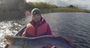 A good finish for the Belgium pike fly anglers’ holiday at Melview Fishing Lodge