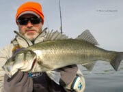Calm spell makes for good kayak fishing in West Cork