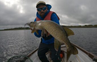 Pike On The Fly For Belgium Anglers At Melview Fishing Lodge Longford pike