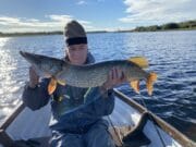 Regular French pike anglers also have a great start to their two weeks at Melview Fishing Lodge