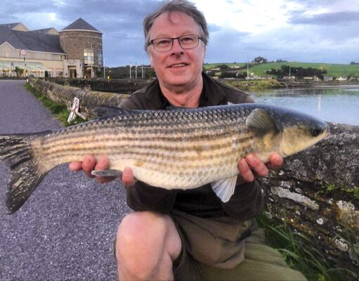 Amazing specimen mullet in West Cork