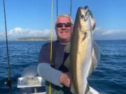 Cod, ling and pollack are fin perfect in Cork