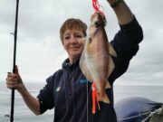 Big tope and good mix of species for Kit’s crews in Wicklow