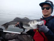 bass