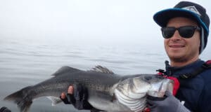 bass