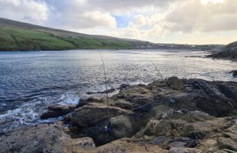Irish Angling Update 8 October 2021