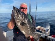 Potential new Irish record for Clohessy in Cork