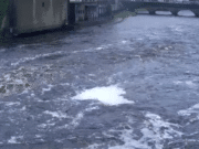 Good season for salmon anglers on the Moy