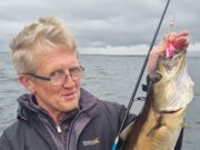 Regular haunt brings Halloween pollack for Ewings