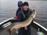 More 100cm+ pike for anglers in Boyle!