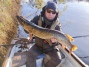 Pike to 101cm for Kilkenny Anglers