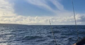 Good fishing on the drift in Galway Bay