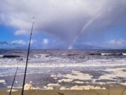 Irish Angling Update 5 November 2021