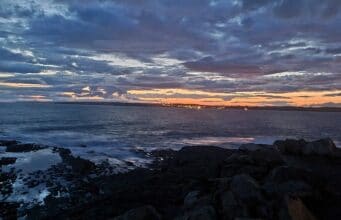 Irish Angling Update – 26 Nov 2021