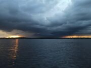 Irish Angling Update 12 November 2021